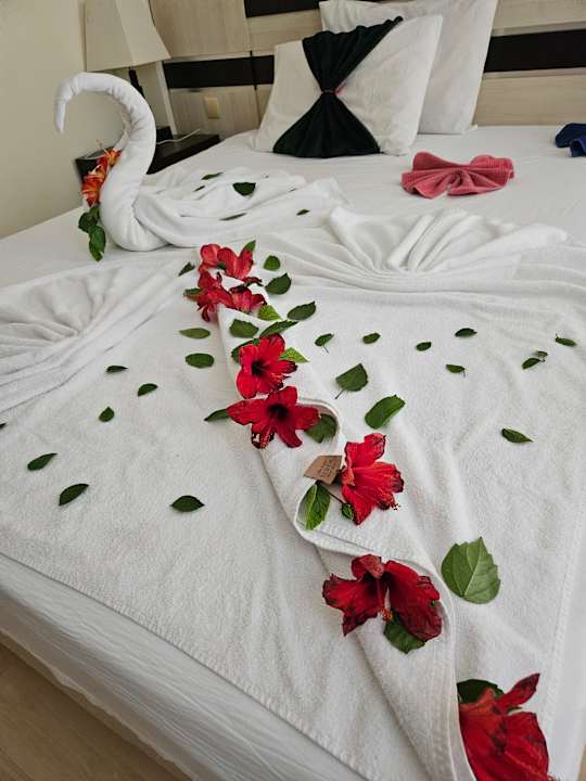 Zimmer Hotel Orfeus Park