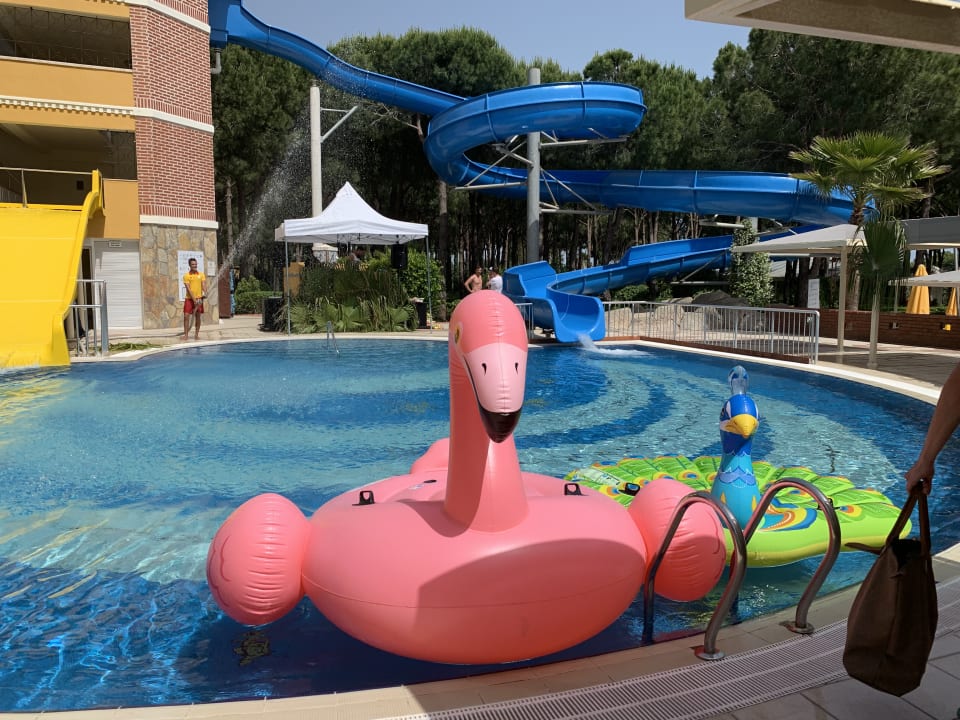 Pool ROBINSON NOBILIS