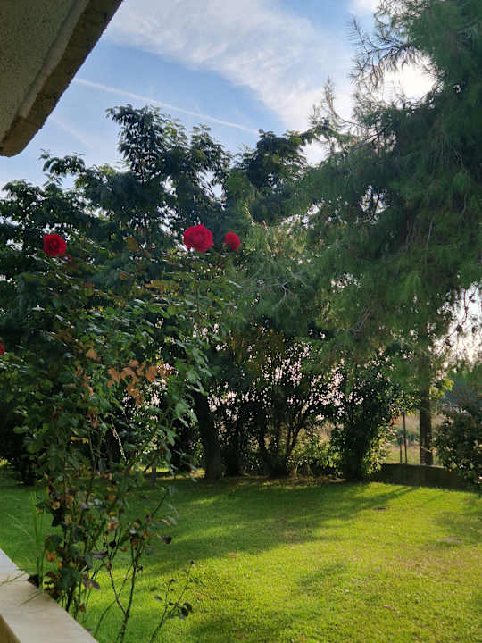 Gartenanlage alltoura Club Hotel Poseidon Palace