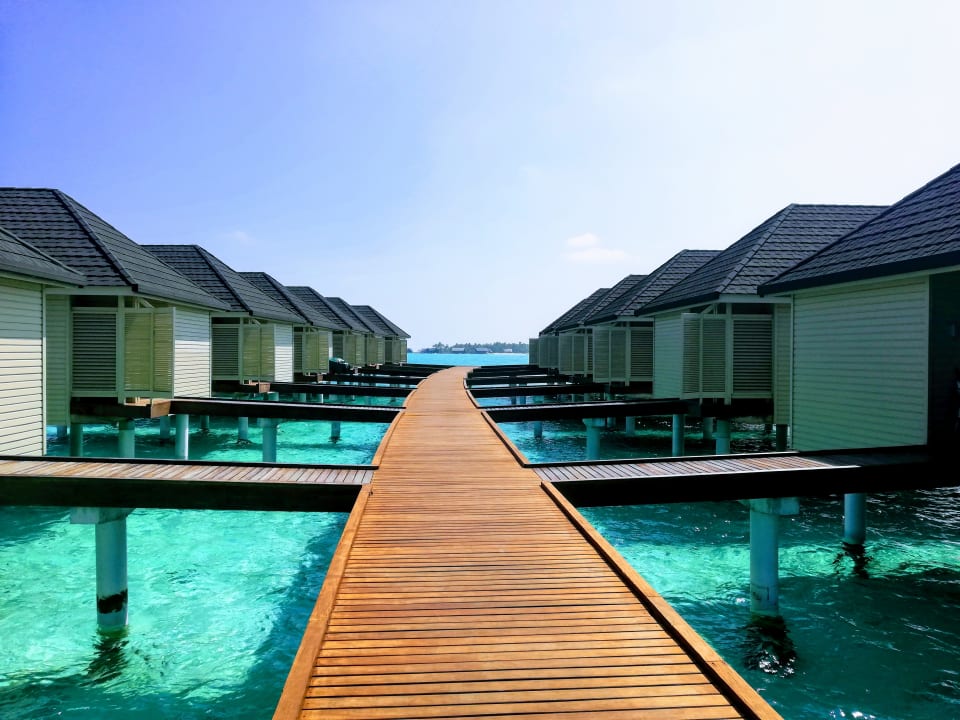 Zimmer Summer Island Maldives