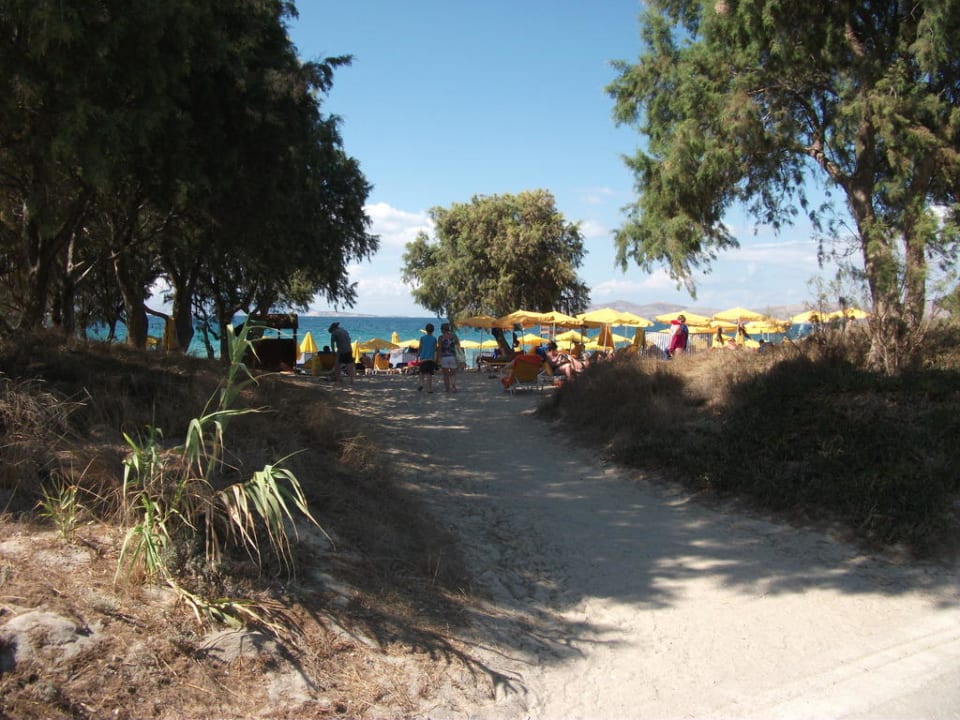 Weg zum Strand TUI BLUE Palazzo del Mare