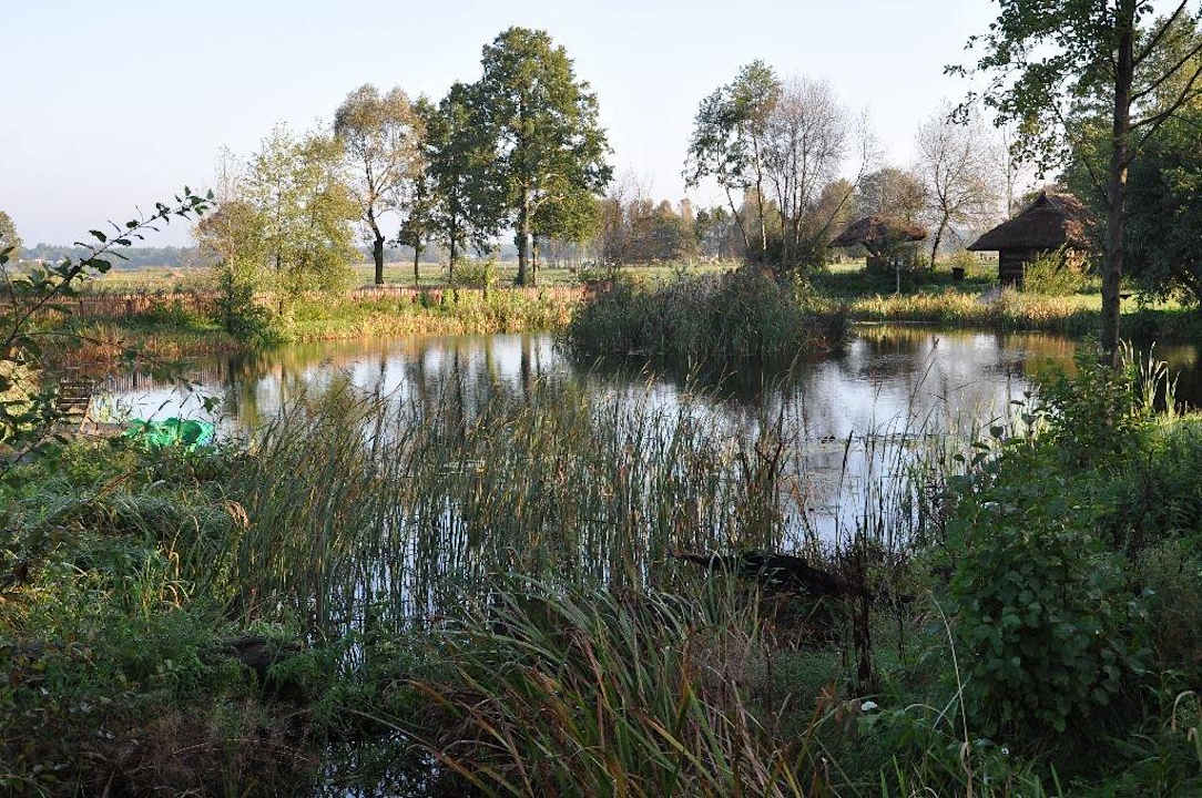 Staw przy chatce Rasputina Dworek nad Łąkami Kiermusy