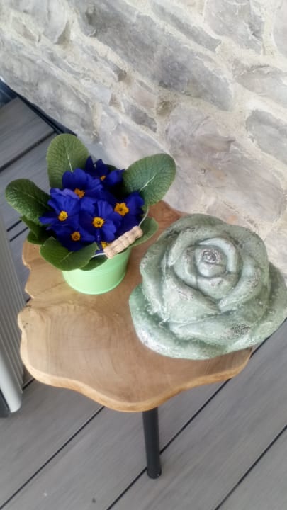 Sonstiges Peters Hotel & Spa