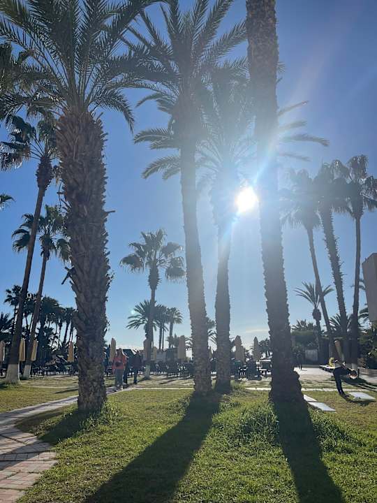 Gartenanlage Hotel Paradis Palace