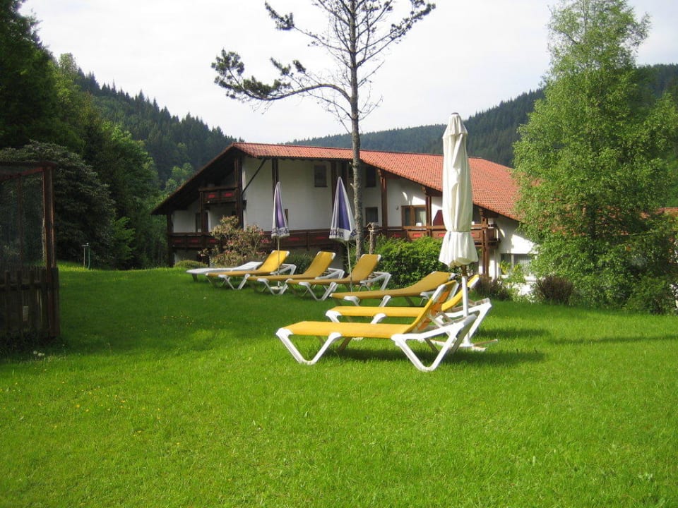 Liegewiese Holzschuh’s Schwarzwaldhotel