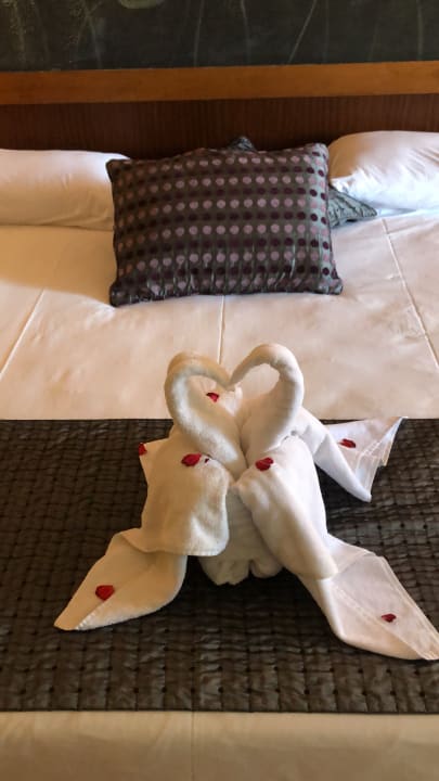 Zimmer Asteria Family Belek