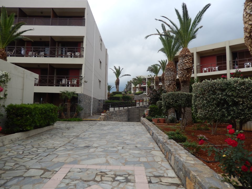 Gartenanlage allsun Hotel Malia Beach