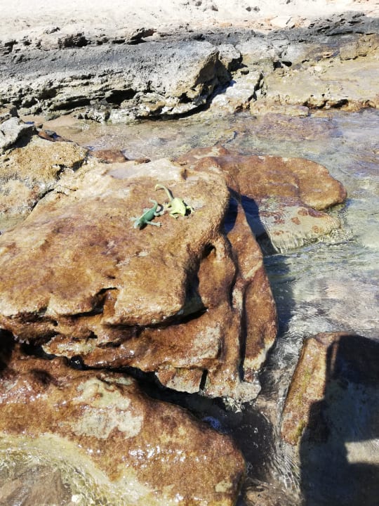 Strand Oz Hotels Incekum Beach