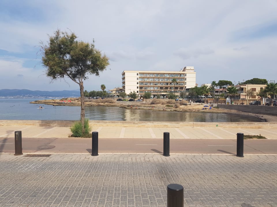 Außenansicht AluaSoul Palma