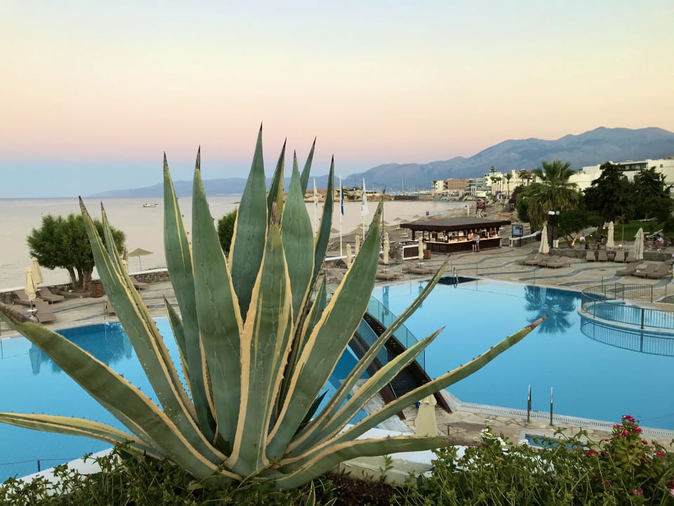 Pool Creta Maris Resort