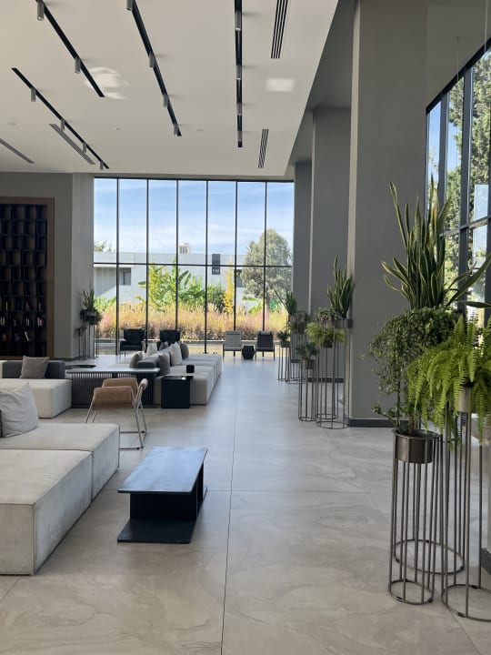 Lobby Paloma Finesse