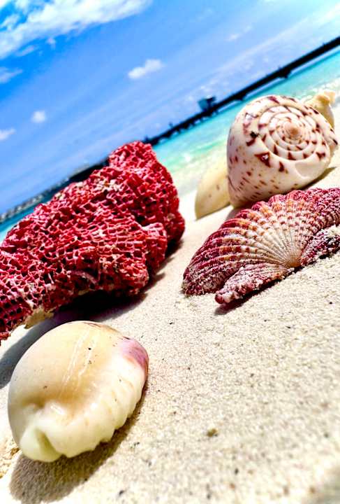 Strand Jawakara Islands Maldives