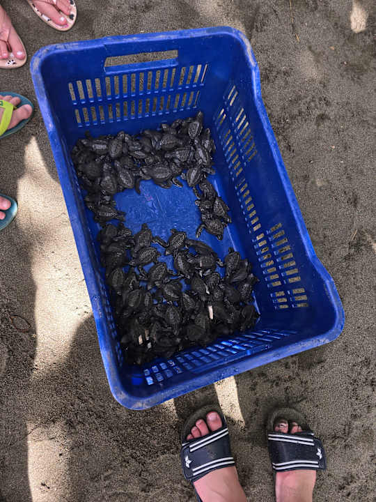 Sport & Freizeit Casa Tili TicoExperience on IslaDamas