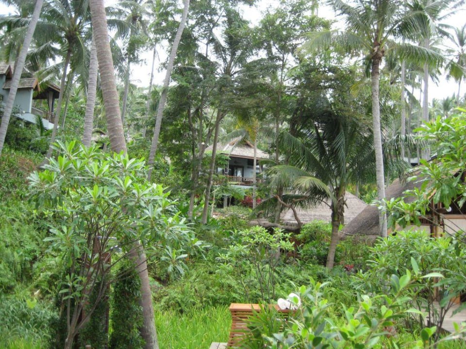 Garten Four Seasons Resort Koh Samui