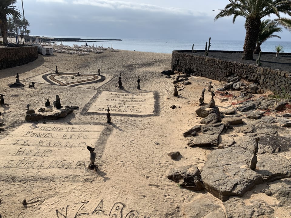Strand allsun App.-Hotel Albatros