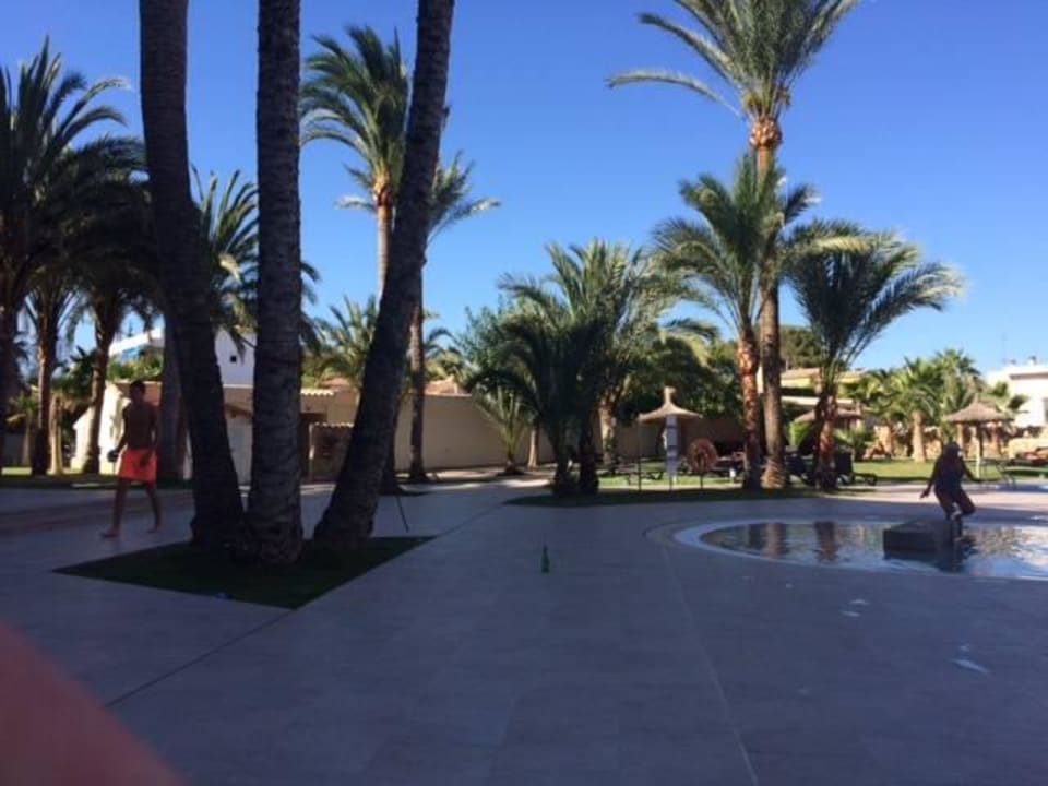Teilansicht Pool Hotel HM Ayron Park