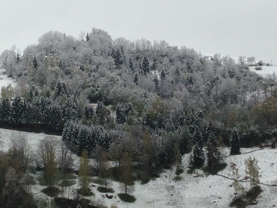 Aussicht vom Fitnessraum ACTIVE by Leitner's|Natur&LifestyleHotel