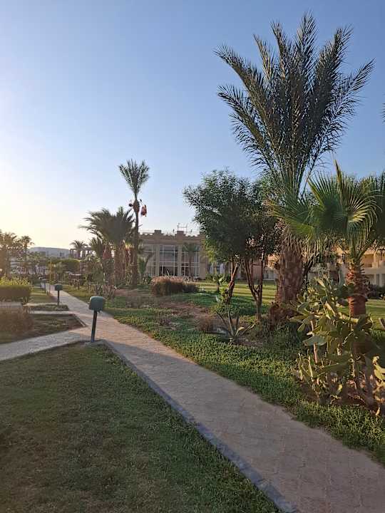 Gartenanlage Imperial Shams Abu Soma