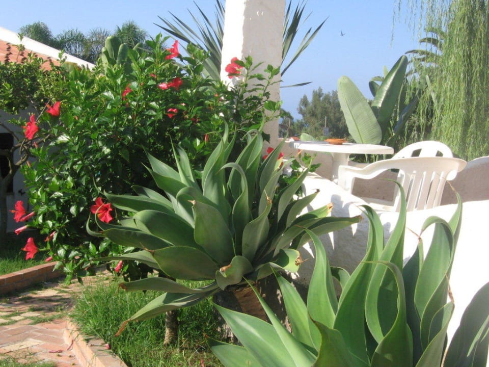 Room terrace Baia del Capo