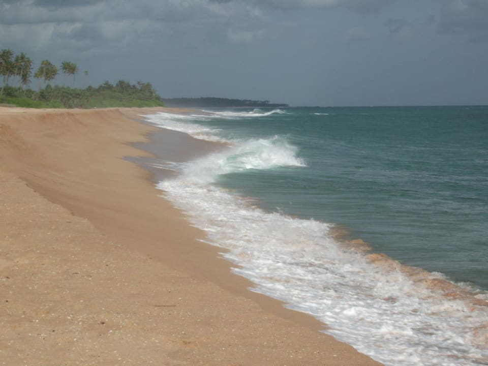 Widly streched beach Lonely Beach Resort Tangalle