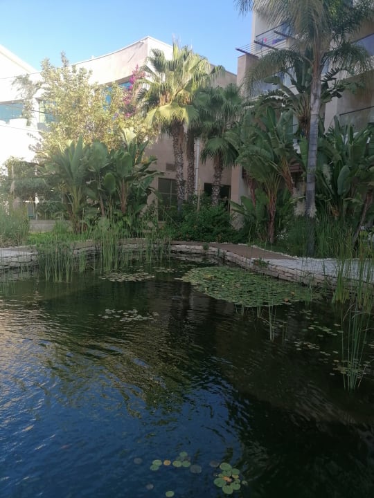 Gartenanlage Paloma Pasha