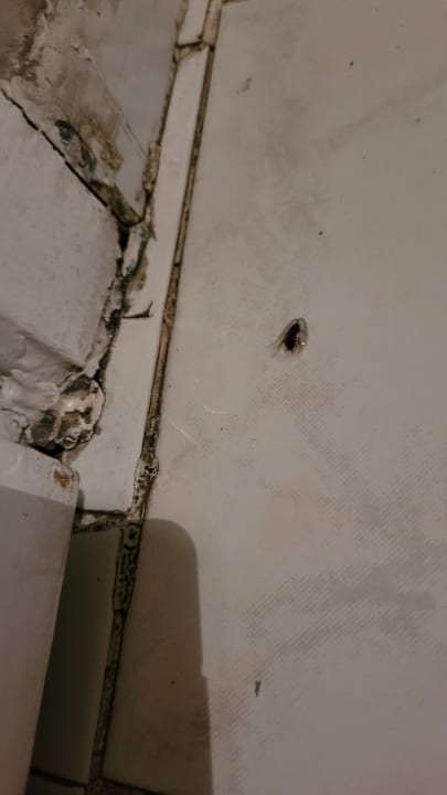 Zimmer The S Apt & Suites Hotel