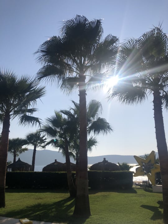 Gartenanlage TUI MAGIC LIFE Bodrum - Adult Only (16+)