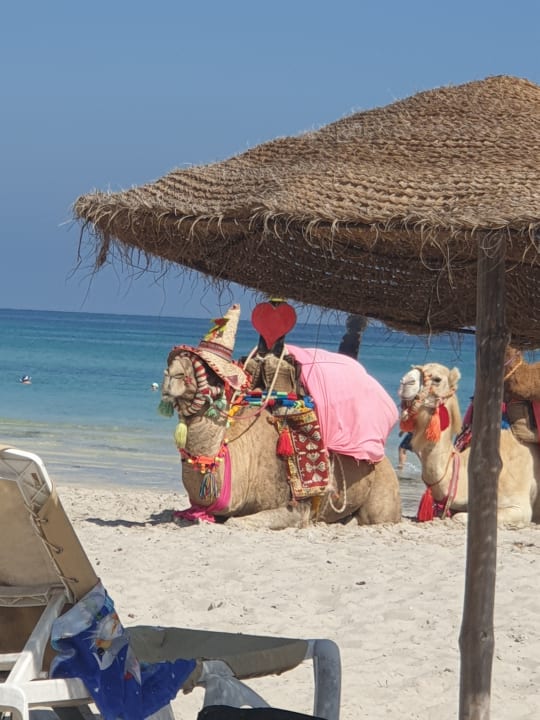 Strand Hotel Meninx Djerba