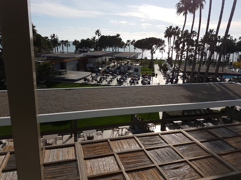 Gastro Acanthus Cennet Barut Collection