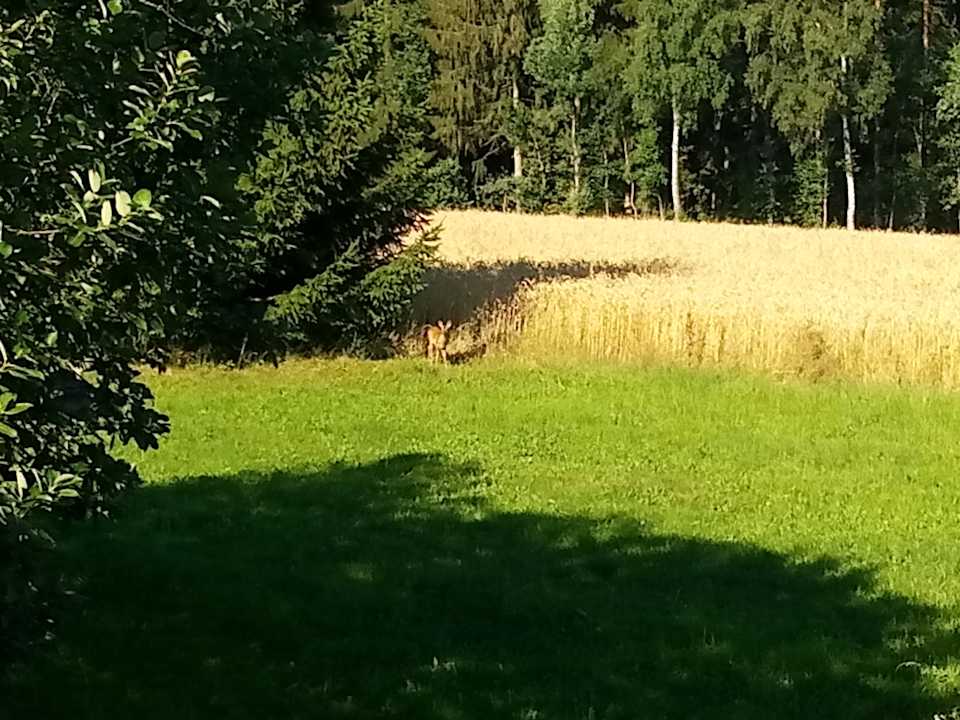 Ausblick Pumphut's Scheune - Ferienwohnungen