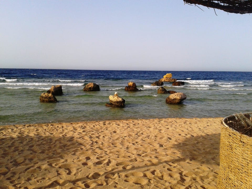 Fast menschenleer Pickalbatros Citadel Resort