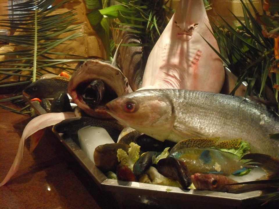 Szwedzki stół Pickalbatros Alf Leila Wa Leila Resort - Neverland Hurghada