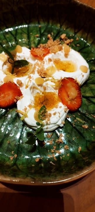 Gastro Acanthus Cennet Barut Collection