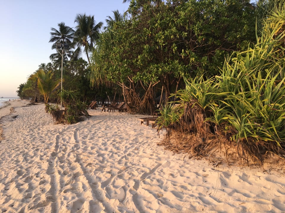 Gartenanlage Neptune Pwani Beach Resort & Spa