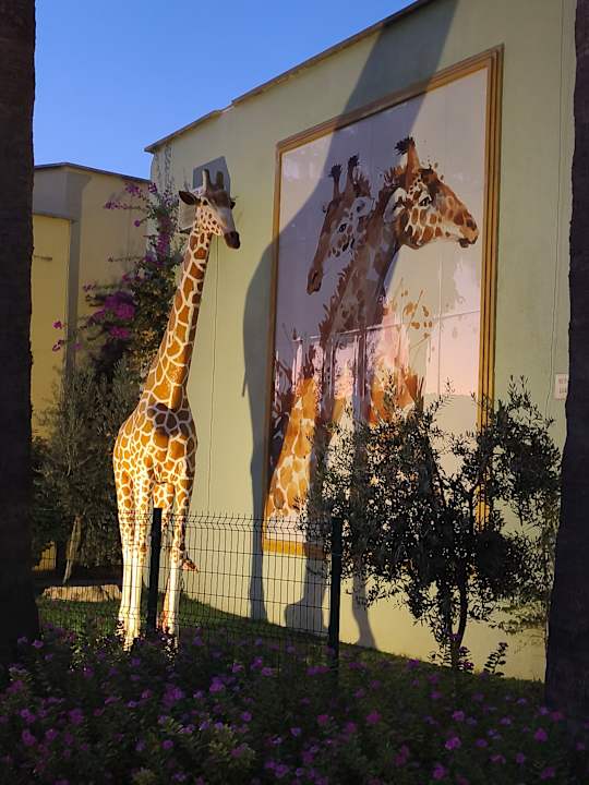 Gartenanlage VONRESORT Golden Beach