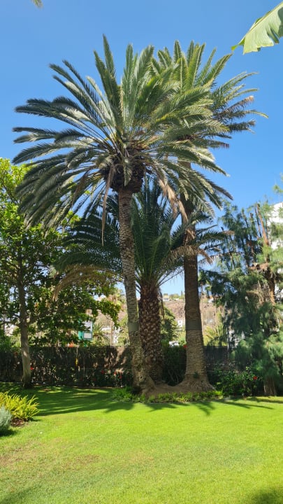 Gartenanlage Bull Costa Canaria & Spa - Adults only