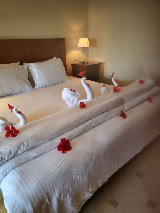 Zimmer Ghazala Gardens