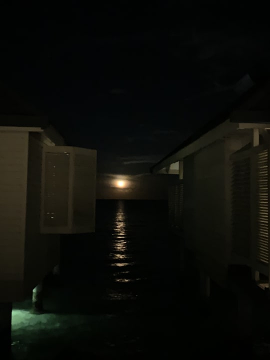 Ausblick Summer Island Maldives