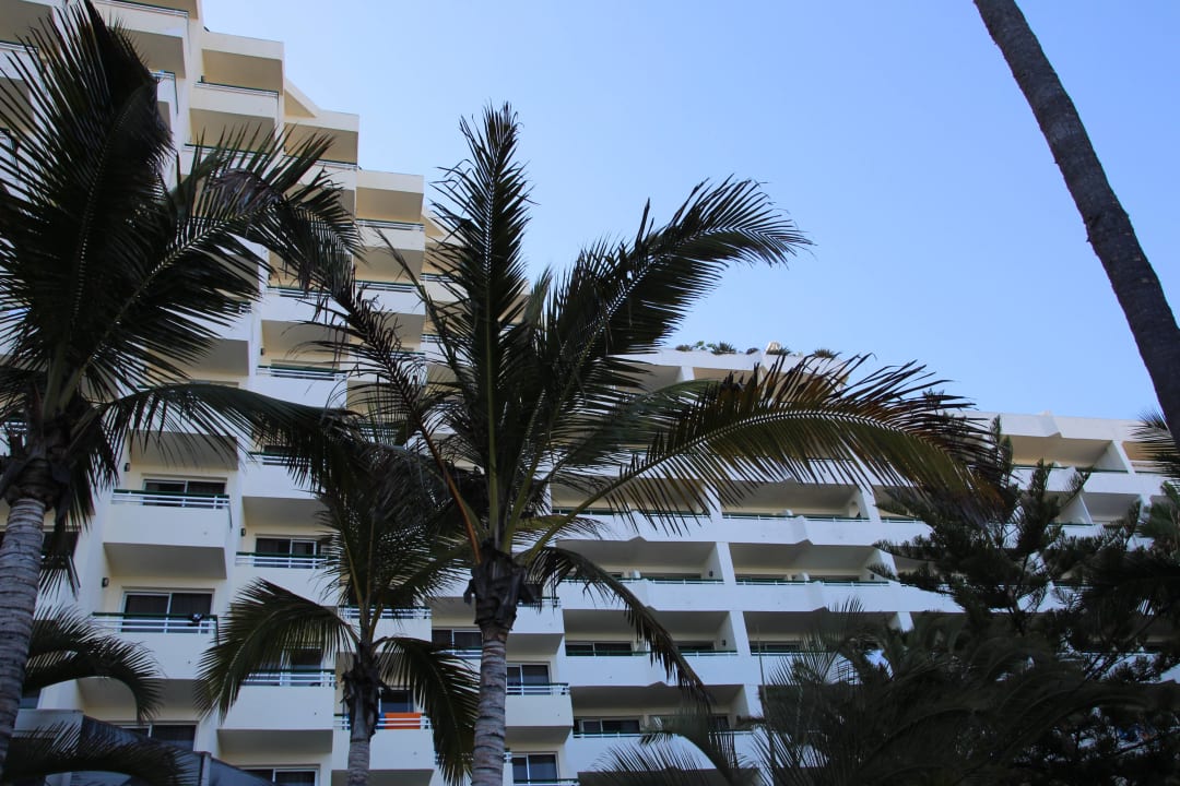 Hôtel H10 Las Palmeras - La Vue 2015 H10 Las Palmeras