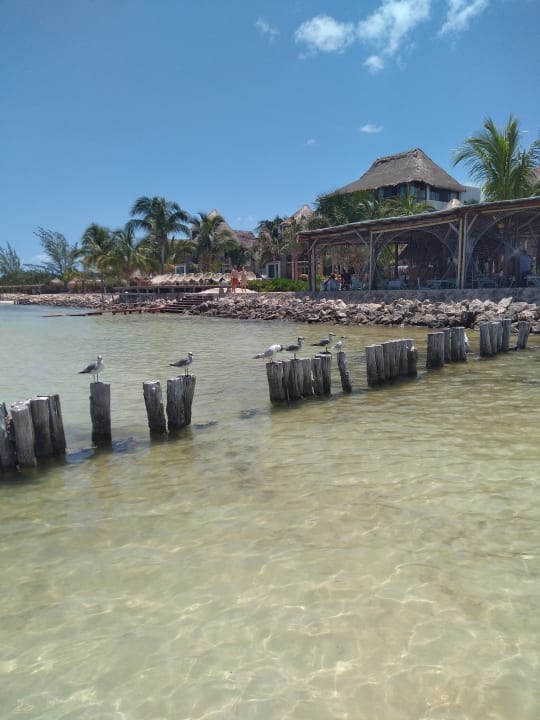 Strand Hotel Villas Flamingos