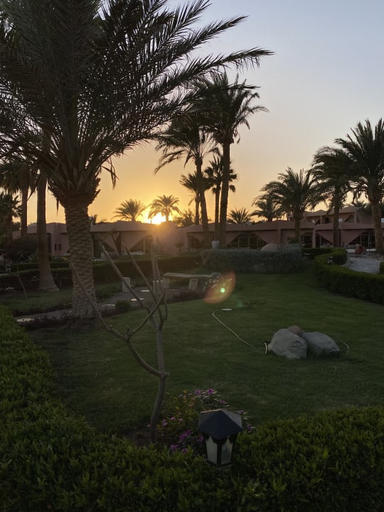 Gartenanlage Eagles Paradise Abu Soma