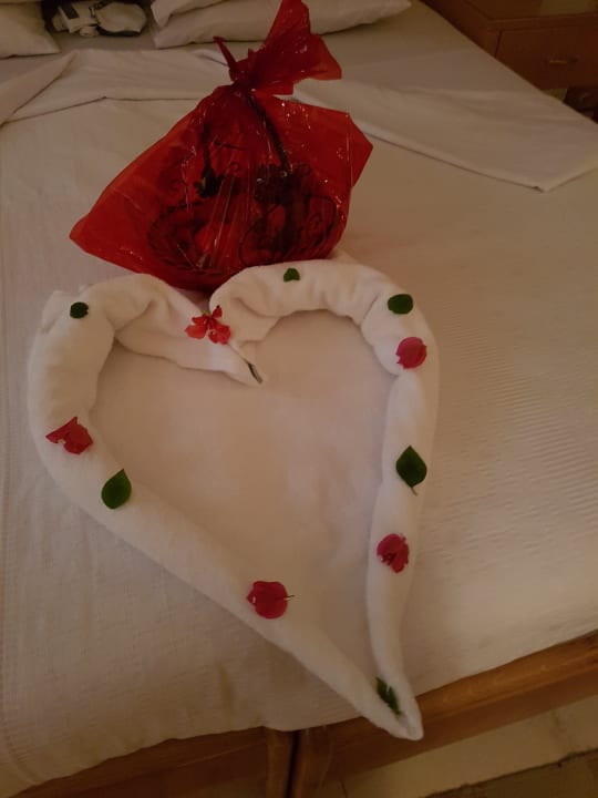 Zimmer Menaville Safaga