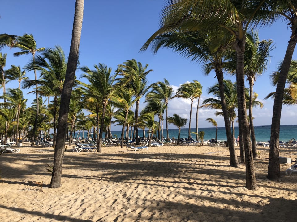 Strand Hotel Riu Bambu