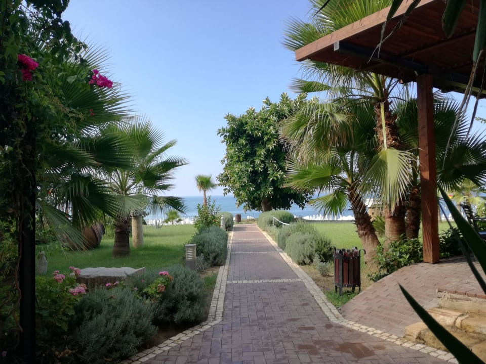 Weg zum Strand  Horus Paradise Luxury Resort & Club