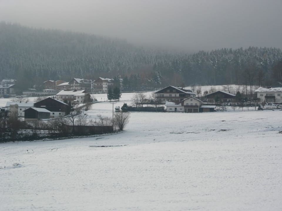 Winterlandschaft mit Blick zum Hotel Hotel Bayerwaldhof