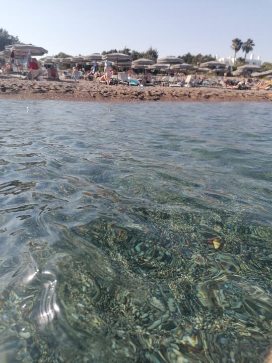 Strand Princess Andriana Resort & Spa