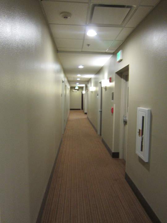 Hotelflur Hotel Sleep Inn & Suites Downtown Inner Harbor