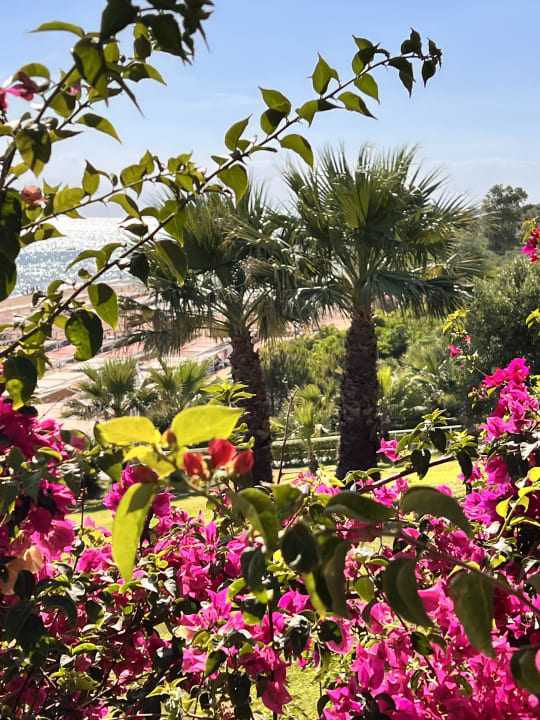 Gartenanlage Can Garden Resort