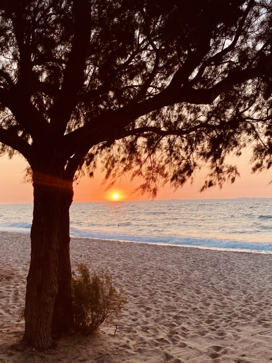 Strand TUI BLUE Palazzo del Mare