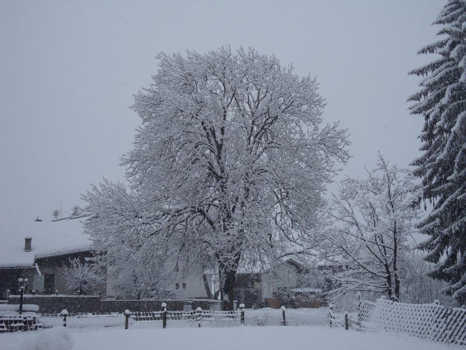 Ausblick in Garten Ferienhaus Zillertal